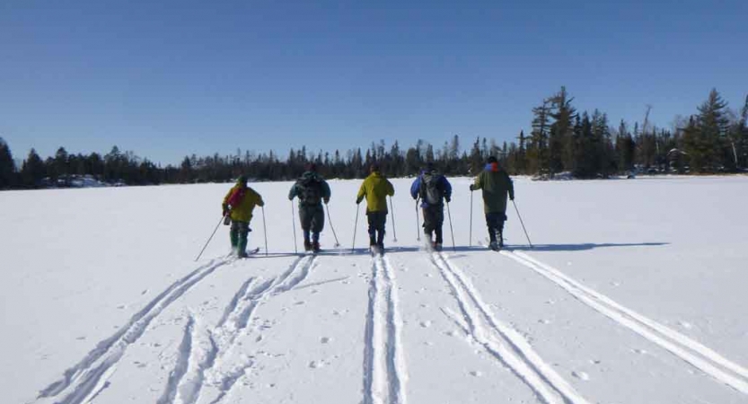 five cross country skiers move away from the camera, leaving lined tracks in the snow